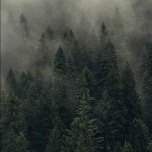 Meet your Posher, Breton